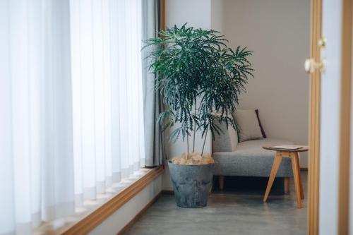 Botanical Room with Bunk Bed