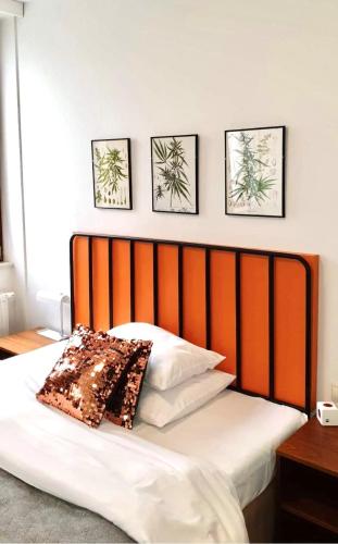 Comfort Single Room