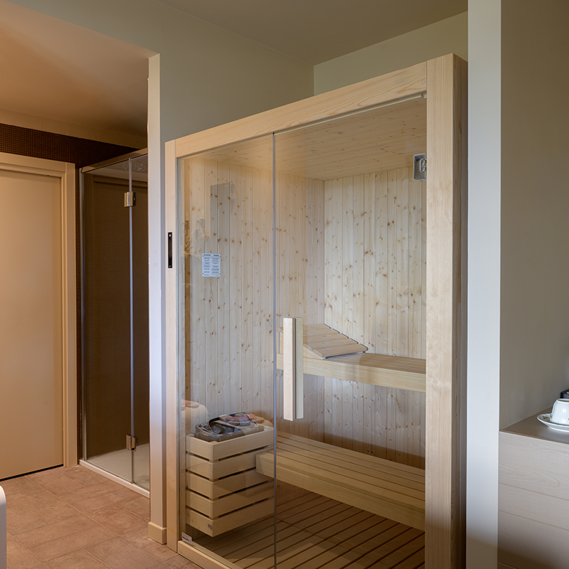 Suite King Wellness Panoramic-Annex