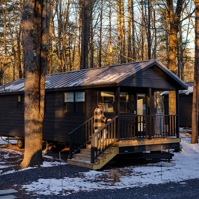 Premium Family Cabin