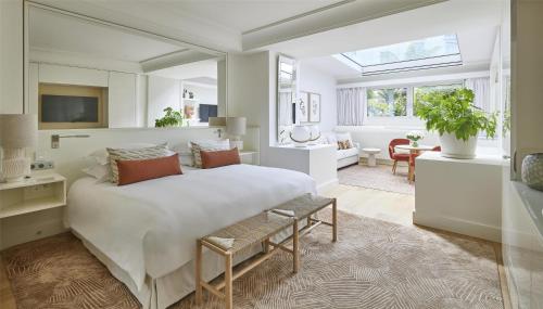 Oasis Suite