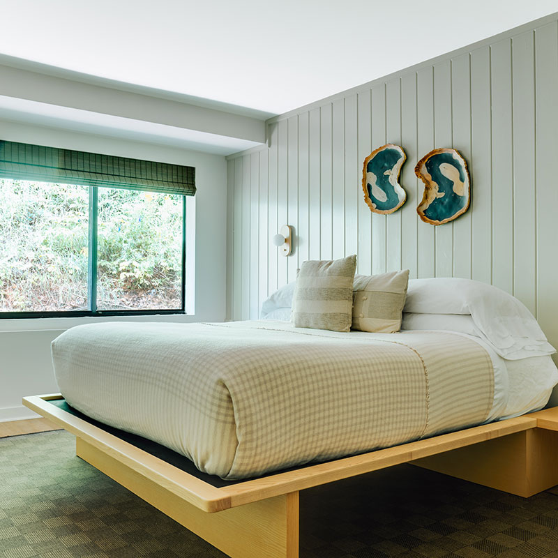 King Bunk Suite
