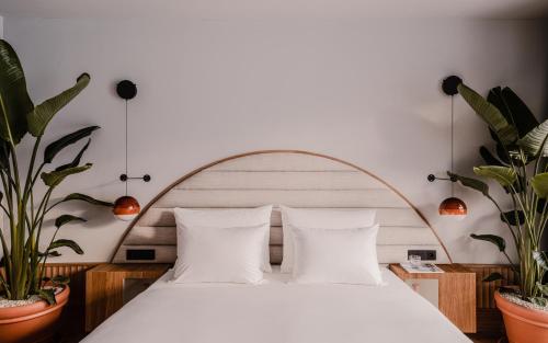 Garden Suite