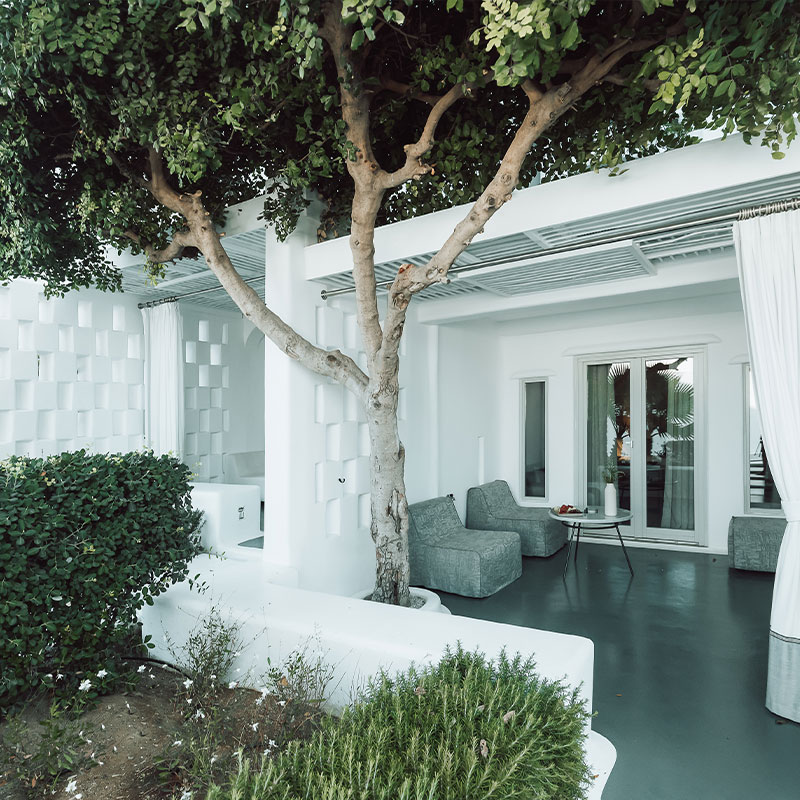 Junior Suite Garden Pool 