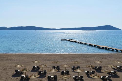 W Bayfront Infinity, 1 Bedroom Suite, 1 King, Sea view