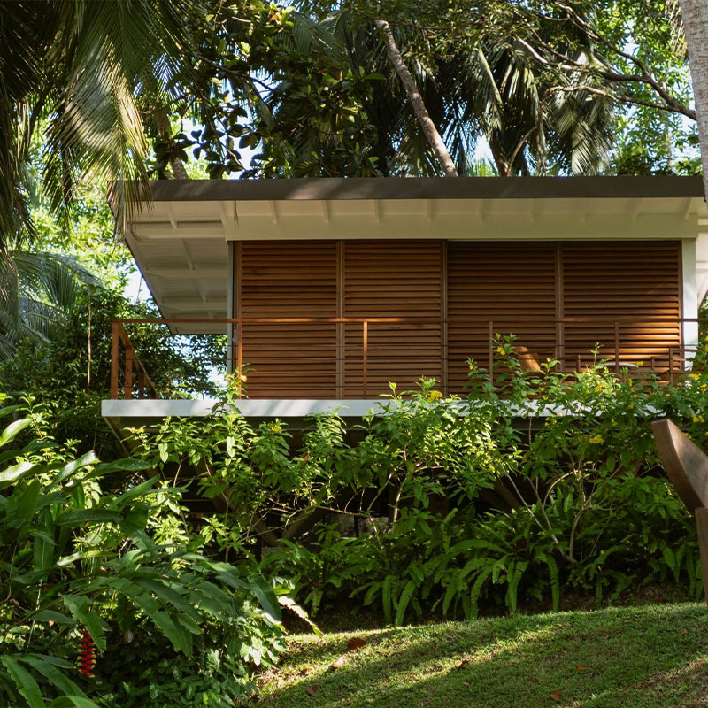 Tree House with Lake View