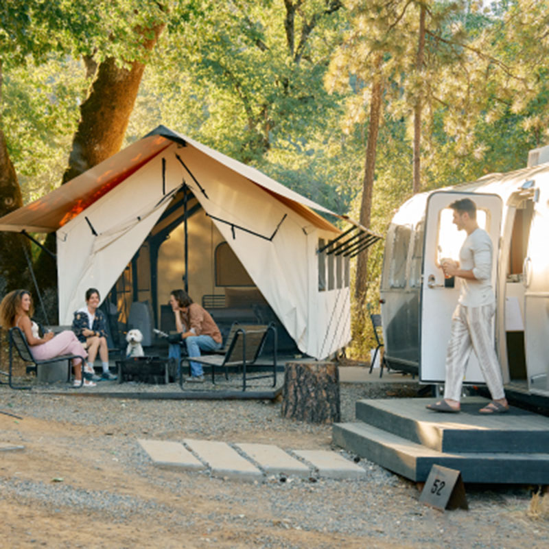 Premium Basecamp Suite