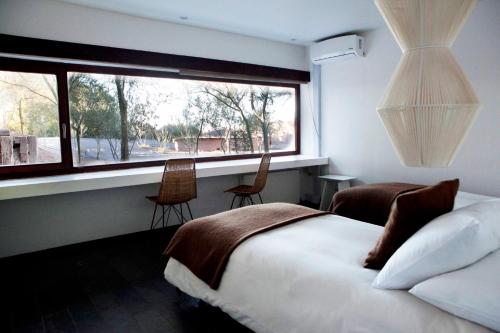 Three Bedroom Apartment