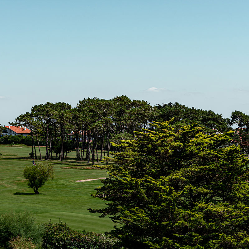 Deluxe Golf View Room
