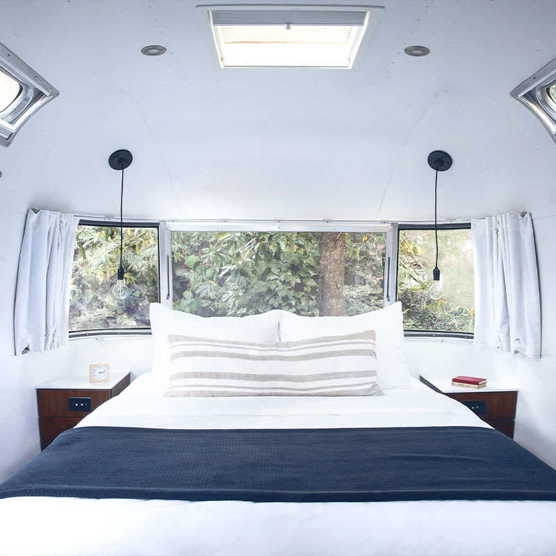 Redwood Suite