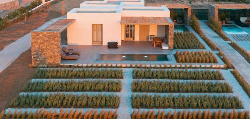 Superior Suite with Private Pool