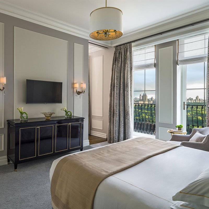 Carnegie Park View Suite