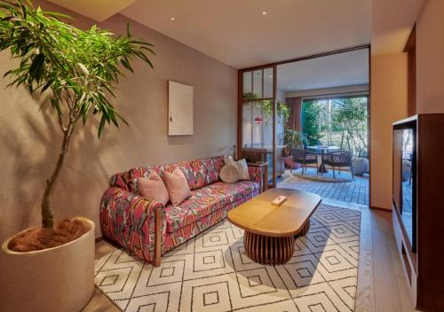 Comfort Suite