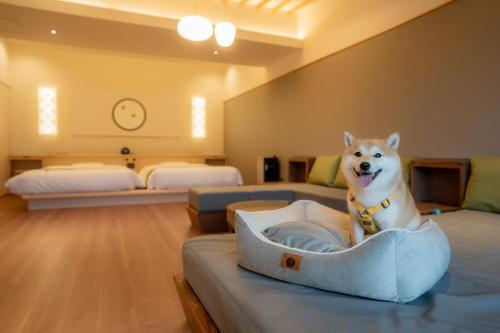 Premium Suite with Semi-Open-Air Bath (Dog-Friendly Room)