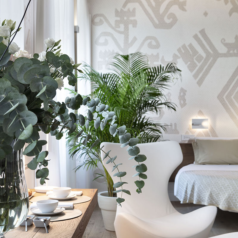 Isola Suite