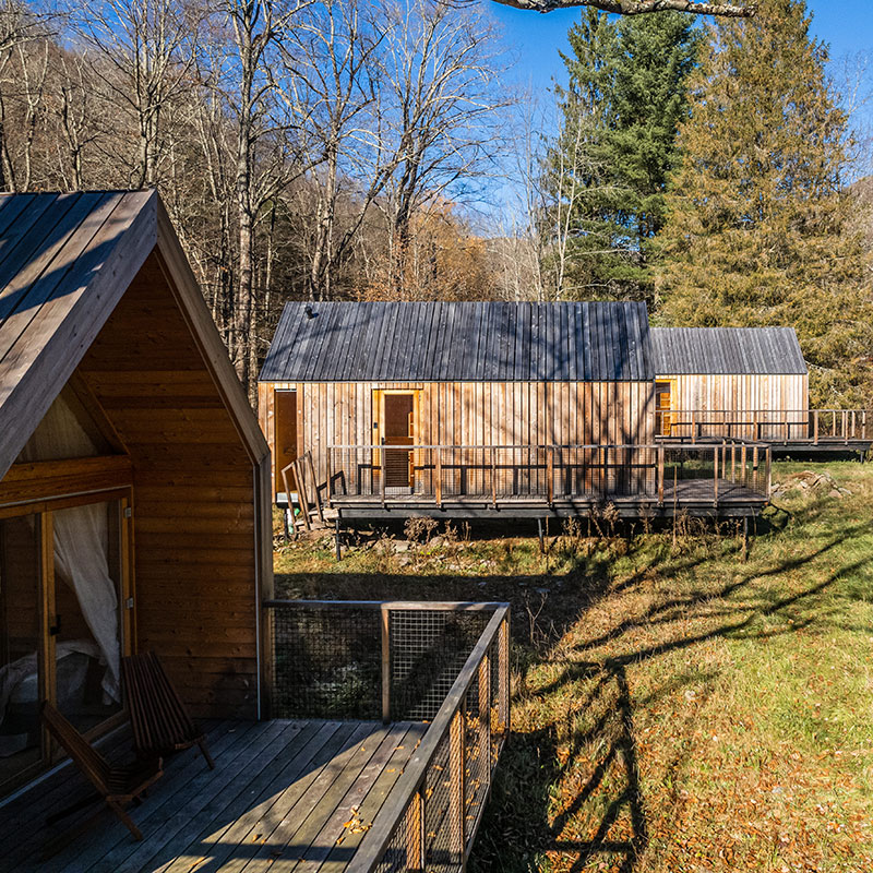 Lushna Suite 