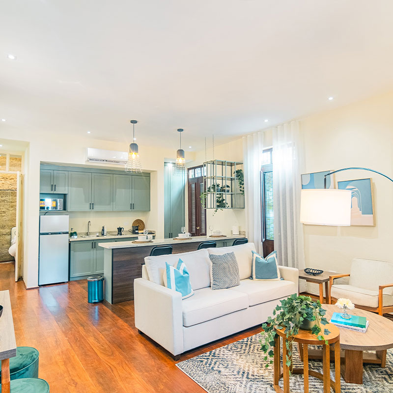 Owner Flat