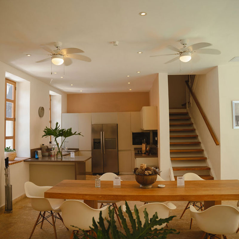 Owner's Villa