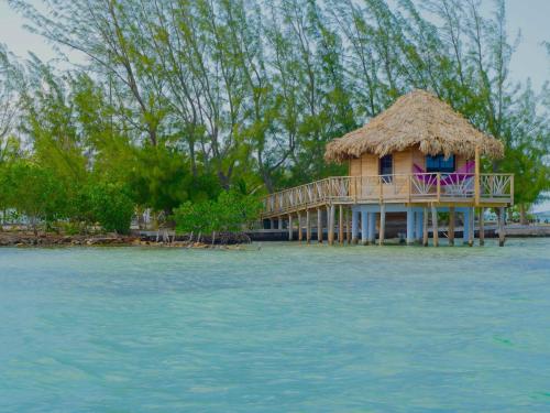 Premier Overwater Bungalow