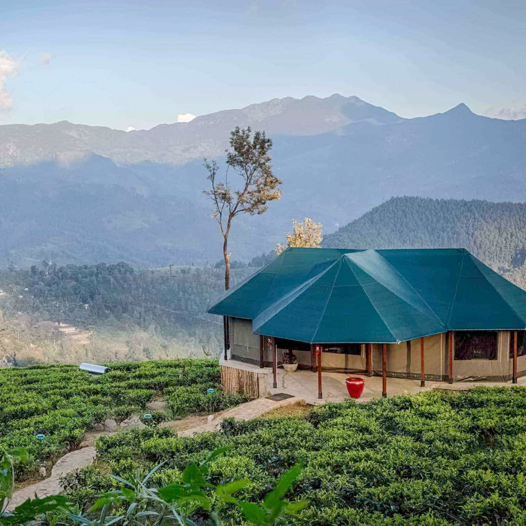 Madulkelle Tea & Eco Lodge
