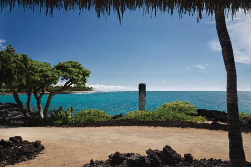 Ocean Front Accessible King Hale