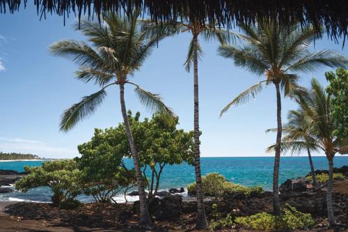 Ocean Front Black Sand Two Bedroom Kauhale