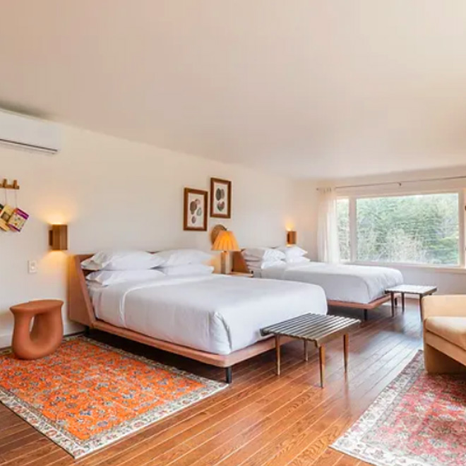 Double Queen Suite Colden