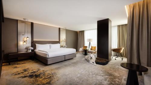 Premium King Room