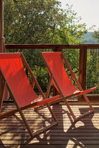ECOLODGE CYSTE