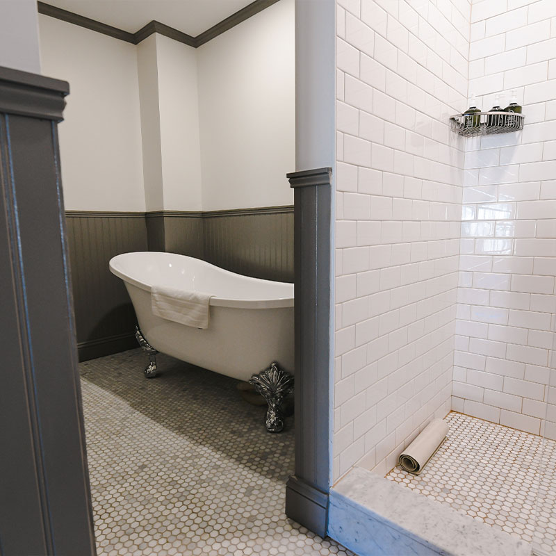 The Evergreen Suite