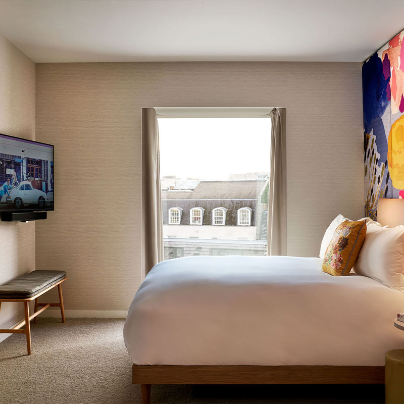Lane Suite