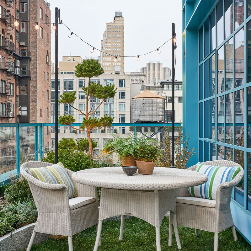 Junior Terrace Suite