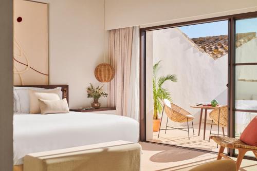 Terrace Suite