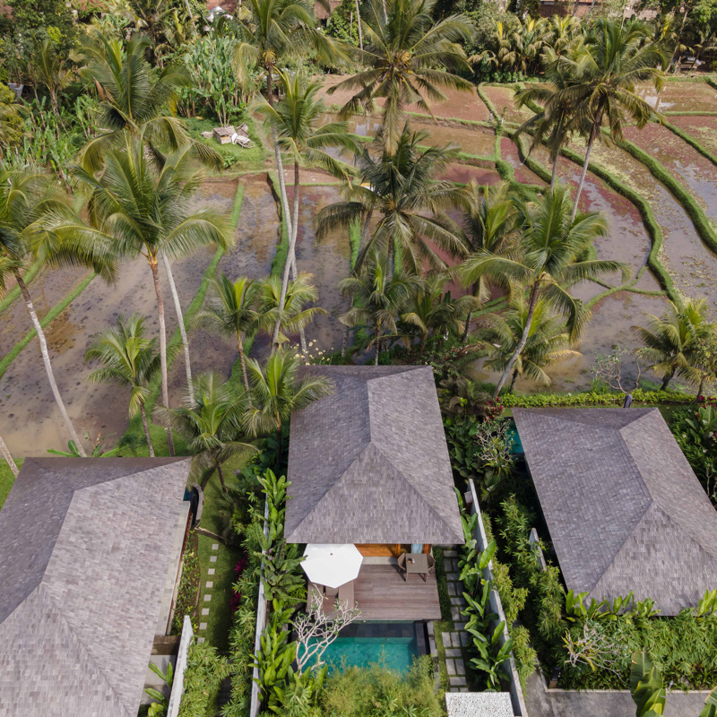 One Bedroom Pool Villa King