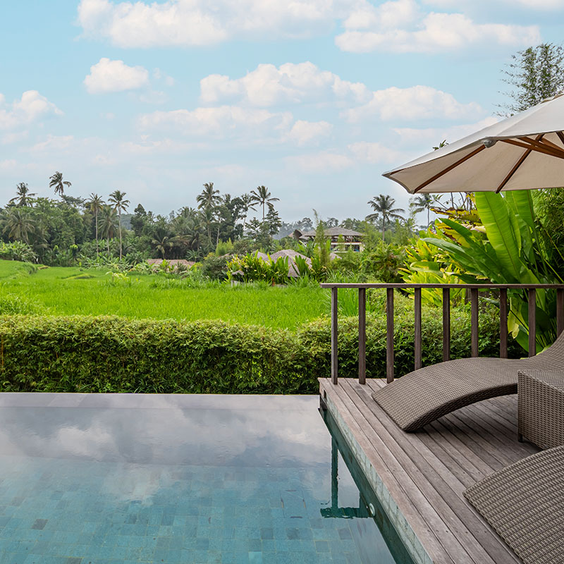 One Bedroom Pool Villa - Rice Field View