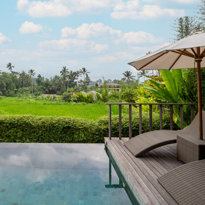 One Bedroom Pool Villa - Rice Field View