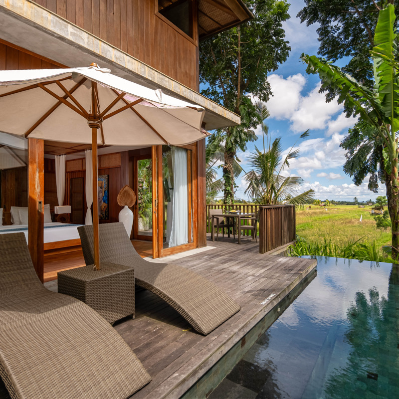 One Bedroom Pool Villa - Rice Field View