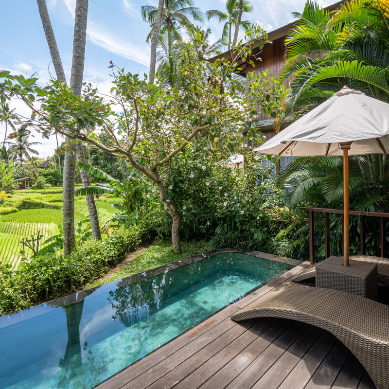 One Bedroom Pool Villa - Rice Field View