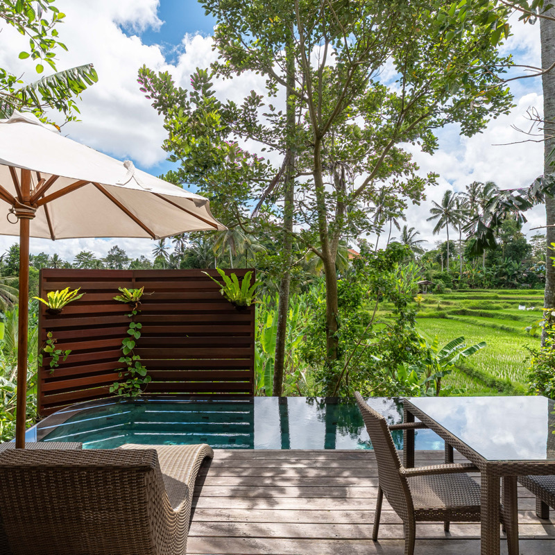 One Bedroom Pool Villa - Rice Field View