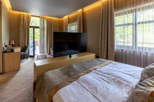 Junior Suite with Terrace