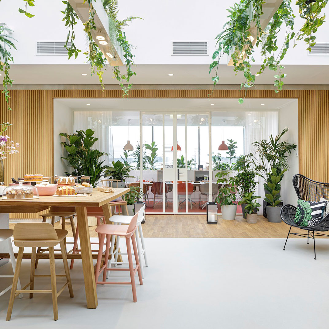 Zoku Vienna