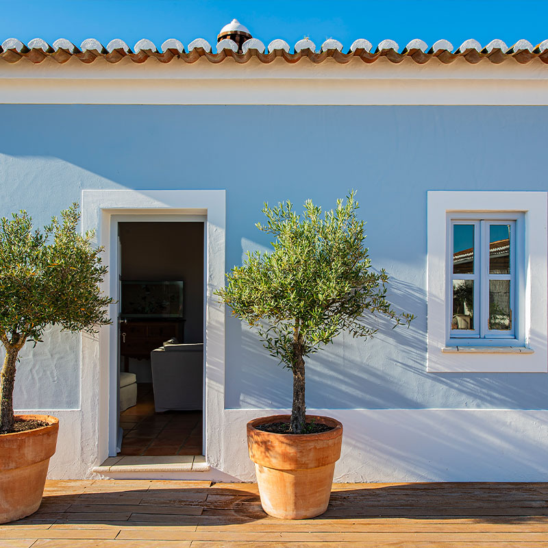 Suite Monte da Peceguina
