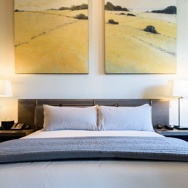 Guest Room ADA