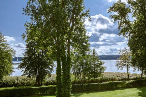 Suite with Lake View