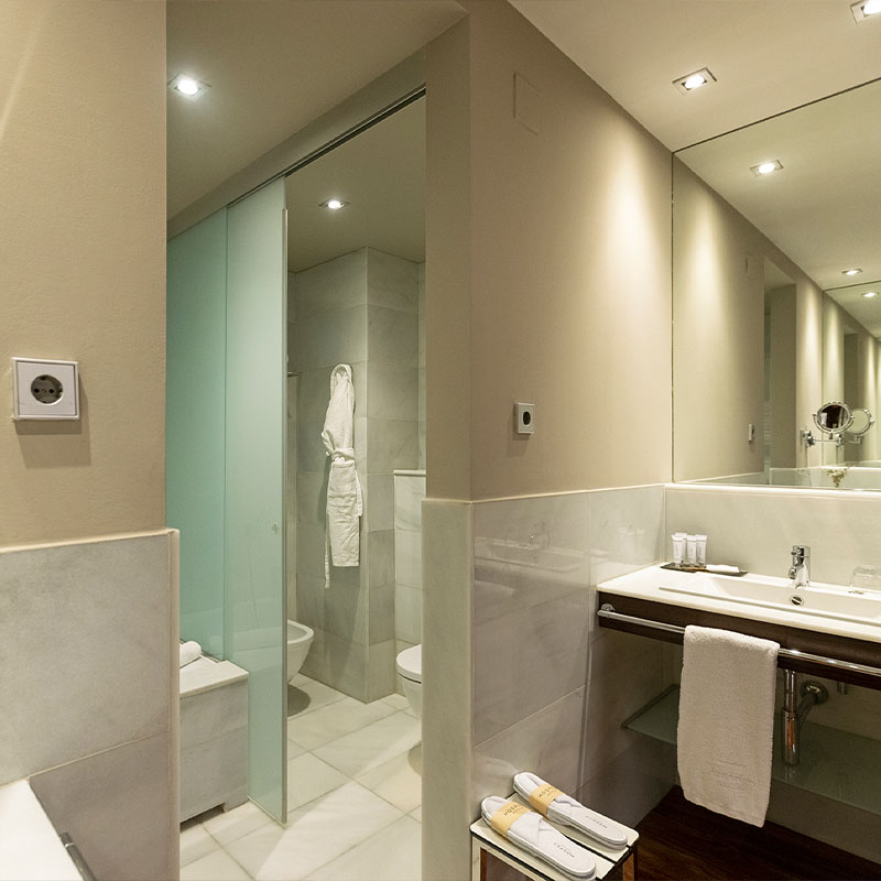 Premium Room