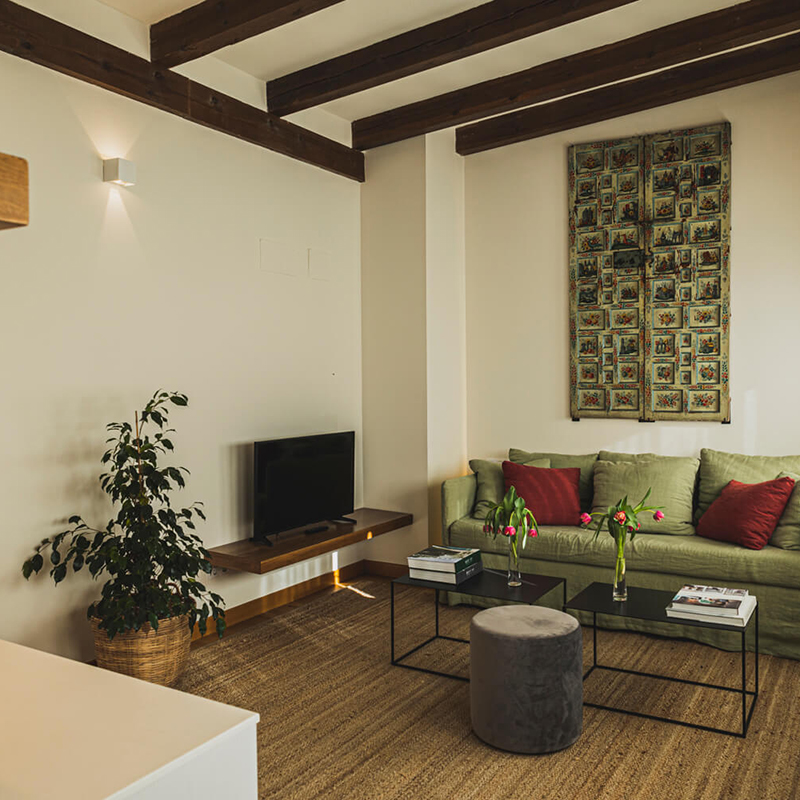 Penthouse with Private Terrace