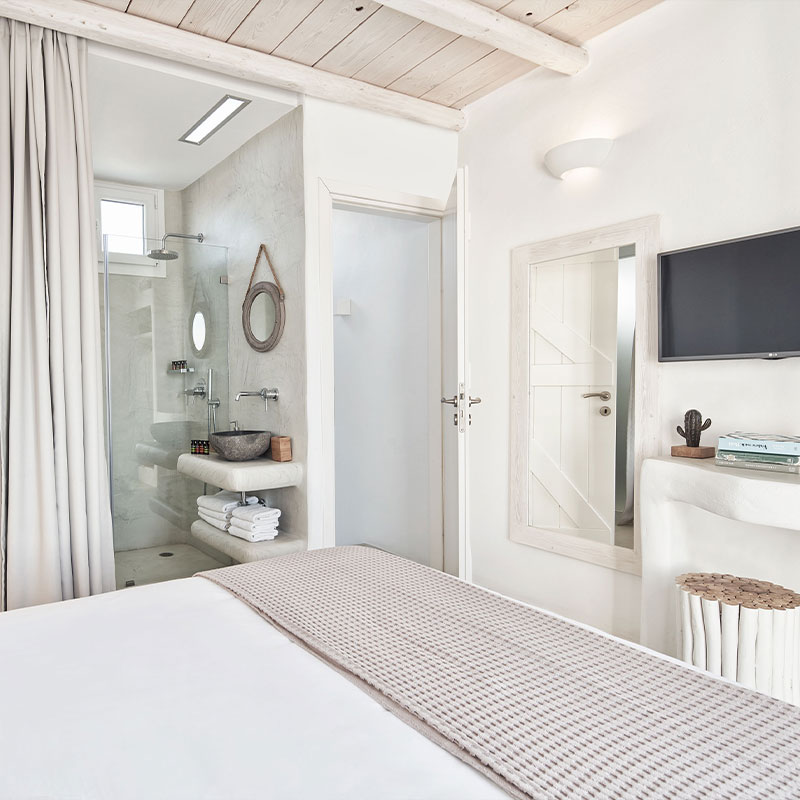 Executive Villa