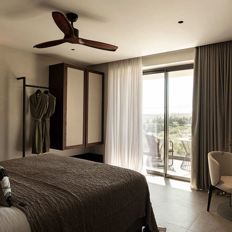 DELUXE SUITE MOUNTAIN VIEW