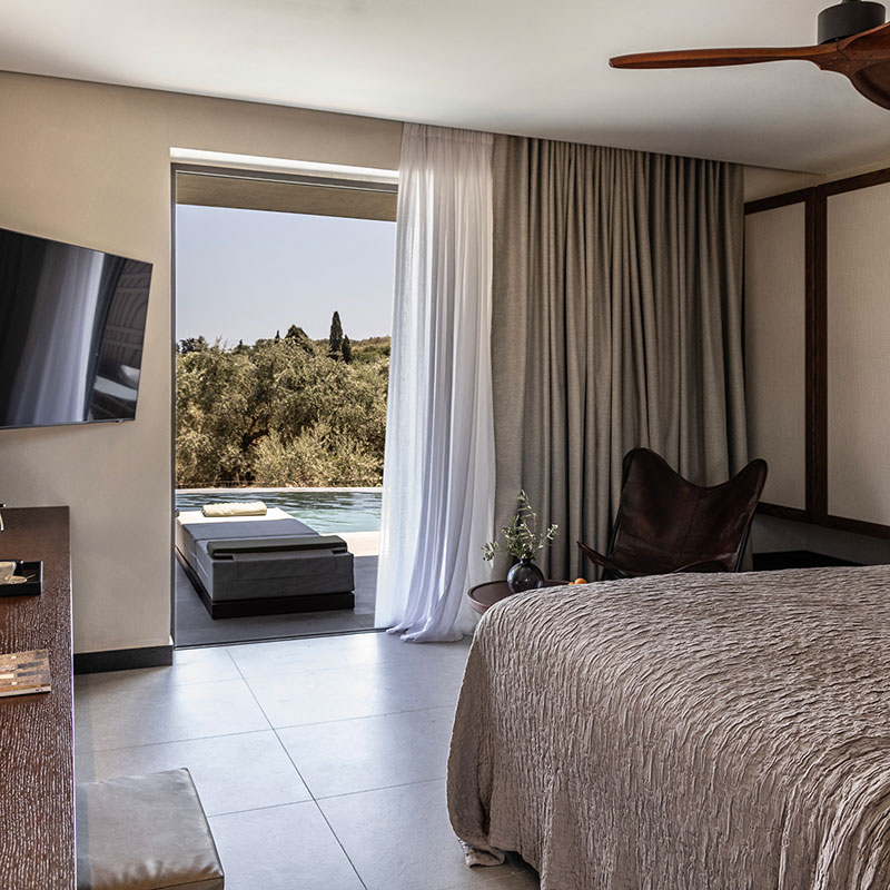 Deluxe Swim-Up Suite