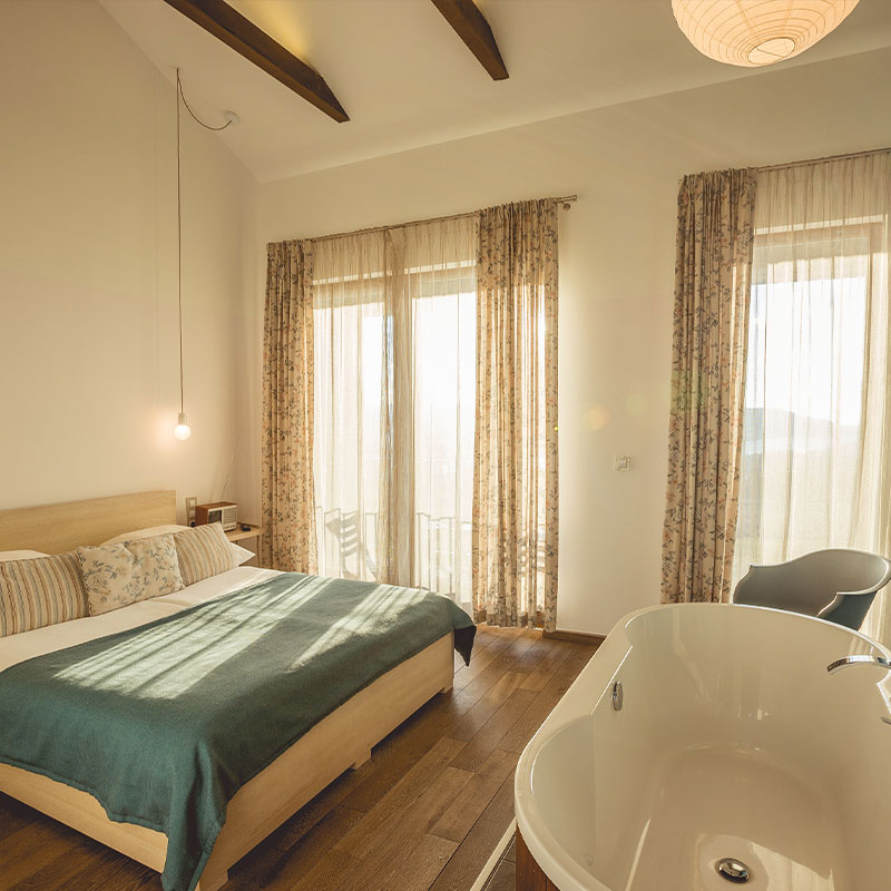 Deluxe Double or Twin Room with River View